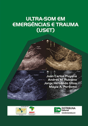 Ultra-som em emergências e trauma (USET)